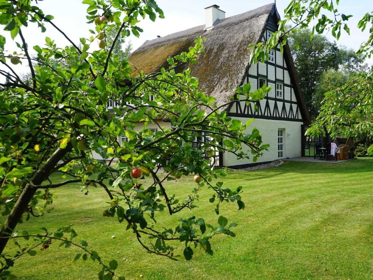 Haus Bela Nonnevitz Exterior foto